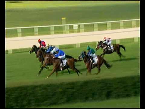 Kozma Ferenc EV (Listed) 1200m