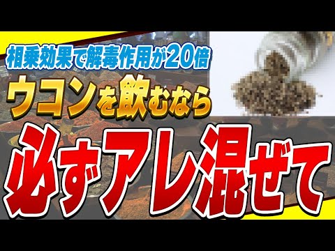 園芸 インドサフラン、一般的なターメリック、ターメリック