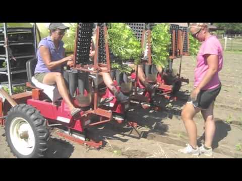 Planting Butterfly Milkweed Plugs at Ion Exchange