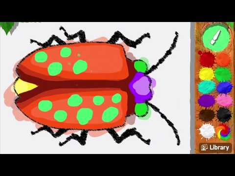 Bug Art Video