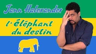 &quot;L&#39;éléphant du destin&quot; par Jann Halexander