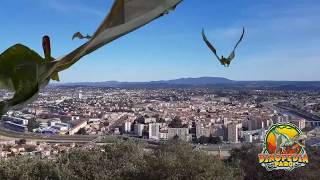 Miniature de la vidéo