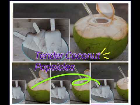 Tender Coconut Popsicles @ The Food Lounge