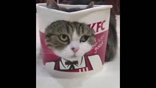 Acenix x KFC