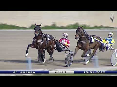 Aversa trotto 19 Gennaio 2022 - 6° Corsa