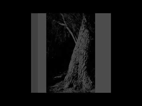Mandragora / Trollsword / Starcave Nebula (Canada) - Songs of Night and Foliage (Split 2021)