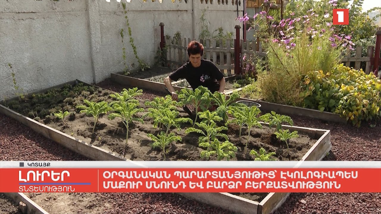 Օրգանական պարարտանյութից՝ էկոլոգիապես մաքուր սնունդ և բարձր բերքատվություն