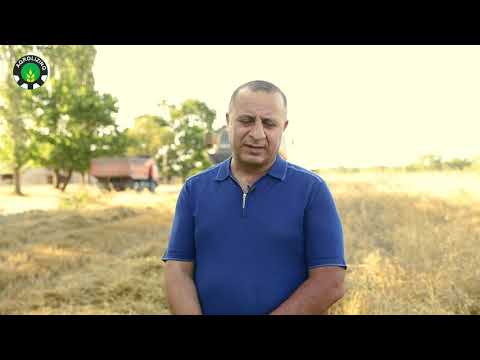 Dağ və dağətəyi rayonlarda taxıl biçini başa çatmaq üzrədir.