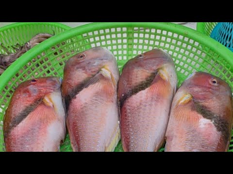 海師傅海鮮叫賣 台中市大里區鳳城街100號對面 06/04