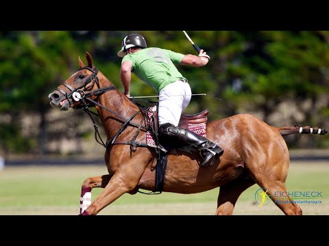 Pferd ausbinden - ja oder nein ? Nachgefragt ... abgehakt! Folge 5