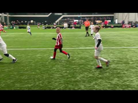 Tarnovia 2015 - BKS Lublin - (Orliki 2015) - WRS Arena Cup 11/1/2025