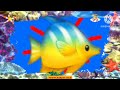 Babytv The Amazing World Corals