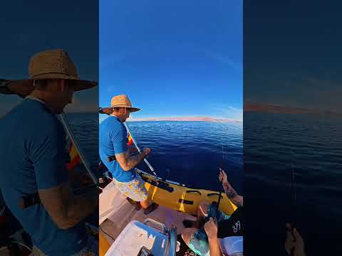 #pesca #lineadepesca #fishing #pescadeportiva #fish #spinning #fishinglife #aventuras #pez #playa