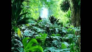 Motel - Hasta el fin