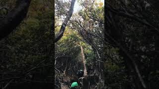 Download lagu story wa pendakian gunung mp3