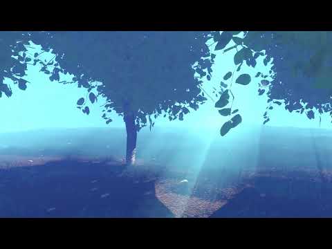 The Enchanted Forest