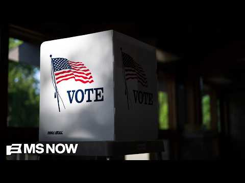‘RESIST’: Fmr. DOJ official urges election workers to oppose poll monitors sent to ‘cause mischief’