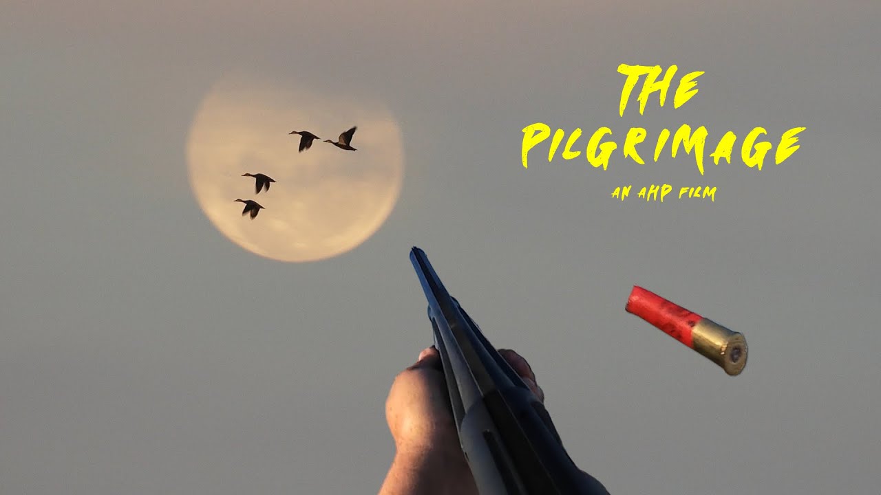 AHP Outdoors - Duck Hunting Protecting Australian Rice Crops || Catch & Cook Duck & Rabbit Hunt