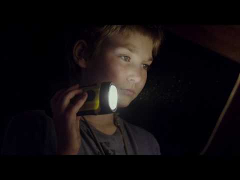 Свет моей жизни