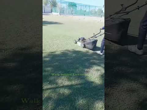 Petrol Lawnmower