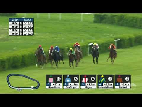 Sea The Moon-Rennen - Conditions Race