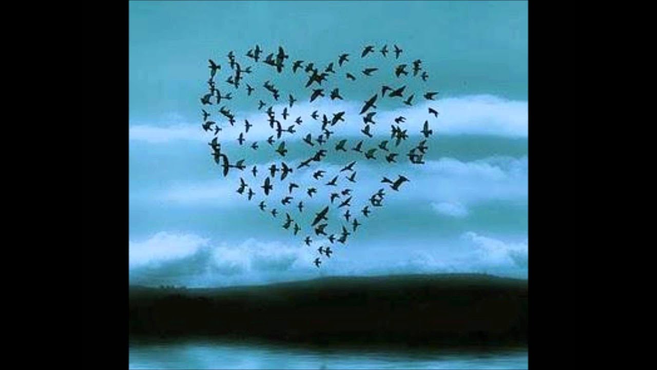 Yeh Pal Jo Hain Lyrics  | No One Killed Jessica | Rani Mukerji, Vidya Balan | Shilpa Rao | Amit Trivedi