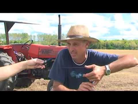 Puntas de Arroyo Negro - Paysandú