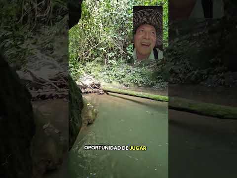 Algunos bellos espacios en medio de Santa Ana de Las Lajas, conocida como la Ciudad Perdida...