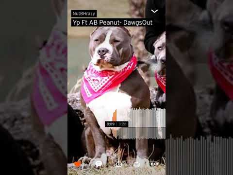 Yp ft AB Peanut - DawgsOut