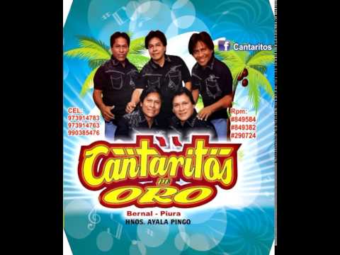 TENGO UNA PENA CANTARITOS DE ORO  PRIMICIA  2014