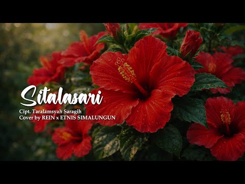 SITALASARI - CIPT. TARALAMSYAH SARAGIH | LAGU ETNIS SIMALUNGUN TERBARU 2026