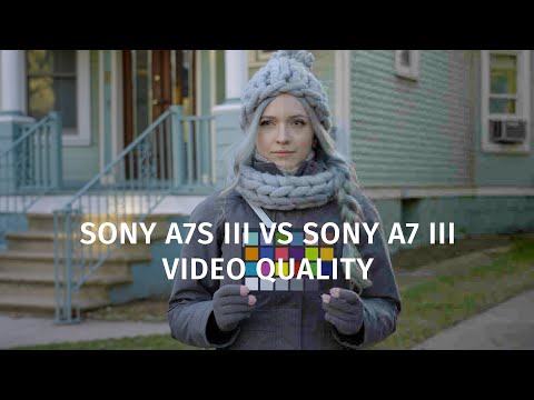 Sony A7S III vs Sony A7 III For Video