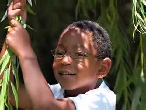 For All The Right Reasons