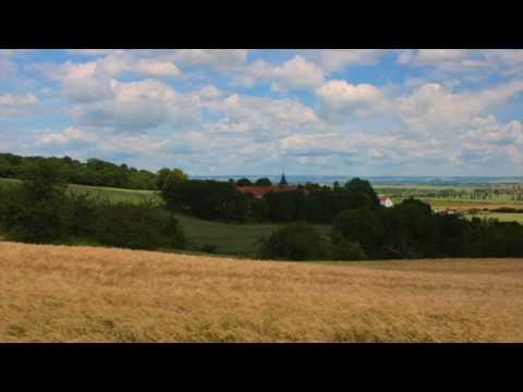 Erntedankpredigt über 1. Timotheus, Kapitel 6 Teil I