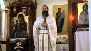 preview picture of video 'Duminica Tuturor Sfintilor, Parintele Cezar Axinte la Manastirea Sfantul Ioan Casian'