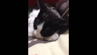 I Don't Wanna Be A Soldier/Mad Season(a tribute to john lennon)