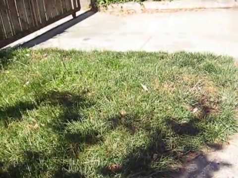 A view around 61 Sunnyside Ave in 2006