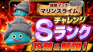 【DQSG】強敵マッチ マリンスライム チャレンジ Sランク 攻略＆解説！スマグロサマー2026 波打ち際のスイカパニック 夏イベント 【スマグロ】ドラゴンクエスト スマッシュグロウ
