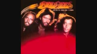 The Bee Gees - Stop, Think Again