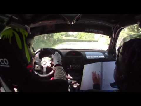 [CAMERA CAR] Circuito di Cremona 2011 - PS9 Pellegrino - Guagnini A. * Re J. - Clio N3