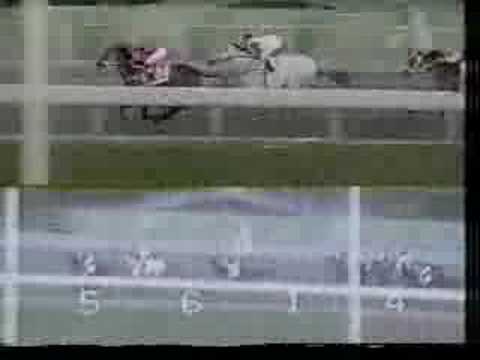 Copa Confraternidad del Caribe 1993