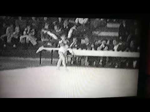 Vanda Hadarean on FX 1990 meeting ROM- USA- France- Canada