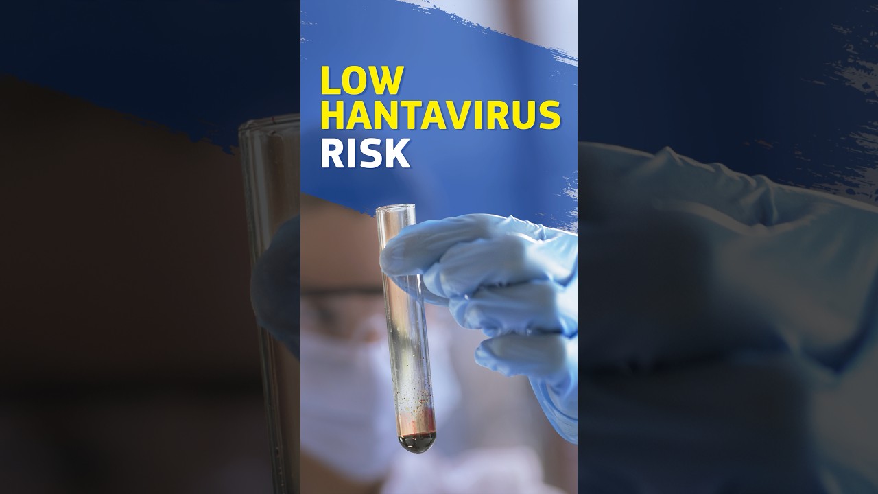 Hantavirus Risk in Europe Assessed as LOW by ECDC and WHO