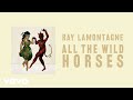 Ray LaMontagne - All the Wild Horses (Audio)