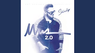 Mein Shit Lyrics English Translation