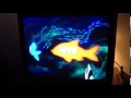Nick Jr Fish Bumper