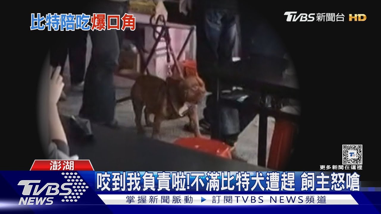 爸爸我會怕!比特犬進店用餐 無罩狂吠幼童