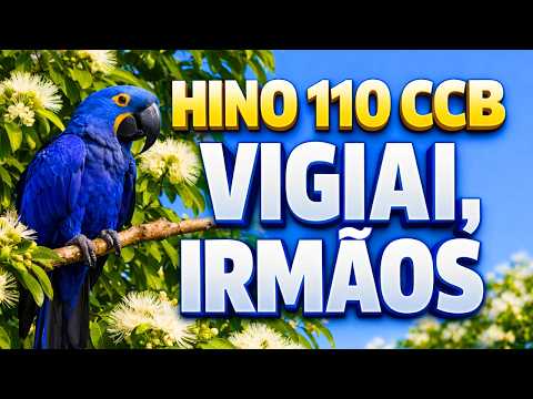 HINO 110 CCB - Vigiai, irmãos - HINÁRIO 5 - Hino Cantado COM LETRA