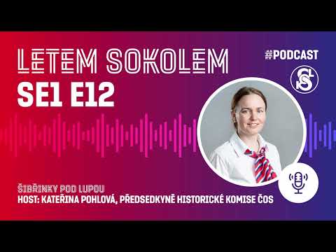Letem Sokolem - Šibřinky pod lupou