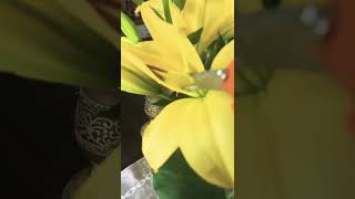 Easy trick to keep your flower lilies to last longer 🔥 fresh flowers hack for lilies